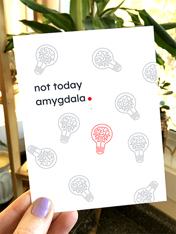 not today amygdala